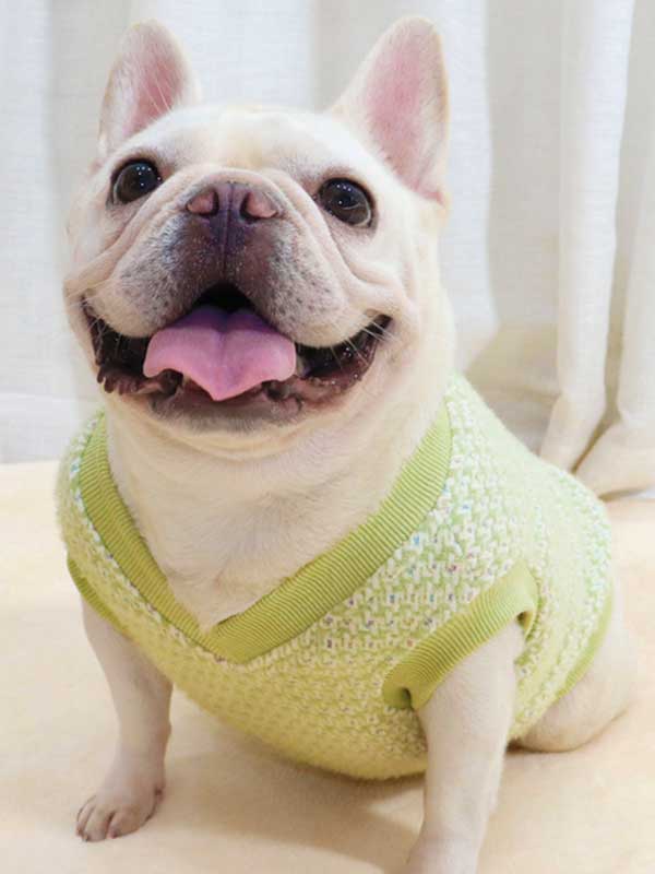 GMTPET Thickened autumn and winter fat dog short body bulldog pug dog lady plush rich rich French fighting clothes v-neck vest vest 107-222012 www.gmtpet.com