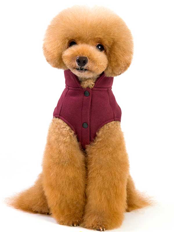 Two-Leg-Dog-Coat-Solid-Color-Fleece-Dog-Coat-Novel-06-1050