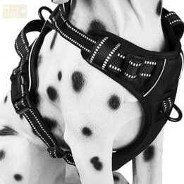 Pet Factory wholesale Amazon Ebay Wish hot large mesh dog harness 109-0001 www.gmtpet.com