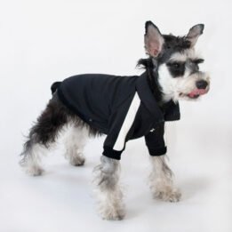 Sport Pet Clothes Custom Fashion Dog BomberJacket Blank Dog Clothes www.gmtpet.com