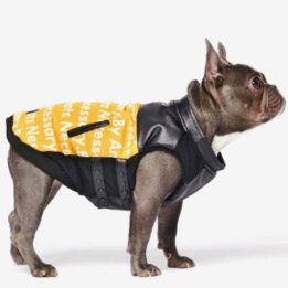 Pet Dog Clothes Vest Padded Dog Jacket Cotton Clothing for Winter www.gmtpet.com