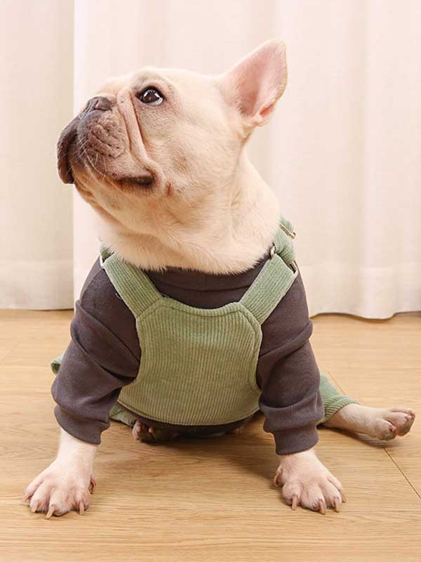 GMTPET French fighting clothes high elastic comfortable solid color plus velvet thick bottoming shirt T-shirt bulldog dog clothes 107-222016 www.gmtpet.com