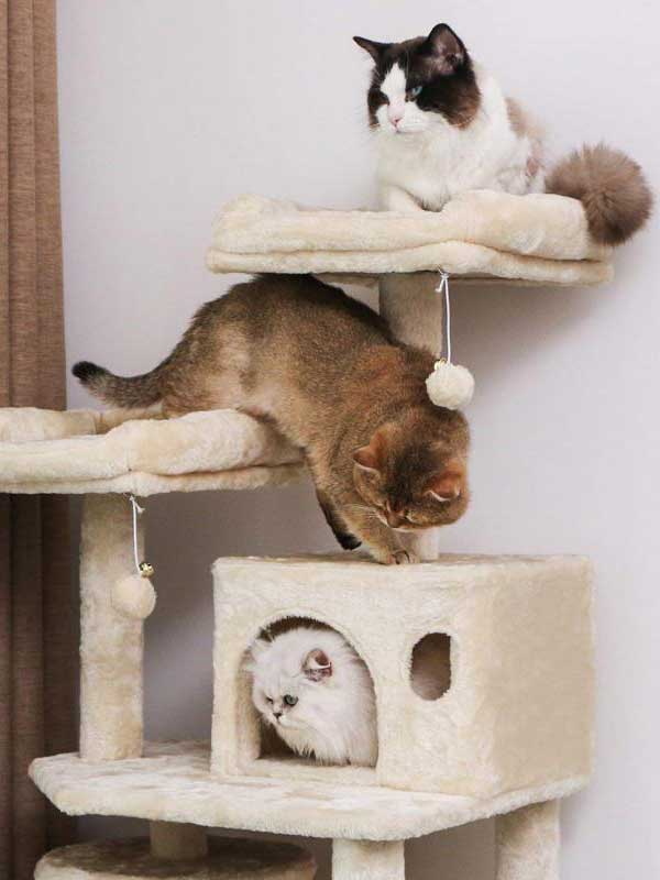 Factory OEM Direct Cat Climbing Frame Cat Tree 105-33007