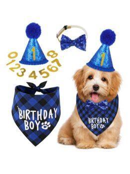 Pet party decoration set dog birthday scarf hat bow tie dog birthday decoration supplies 118-37011 www.gmtpet.com