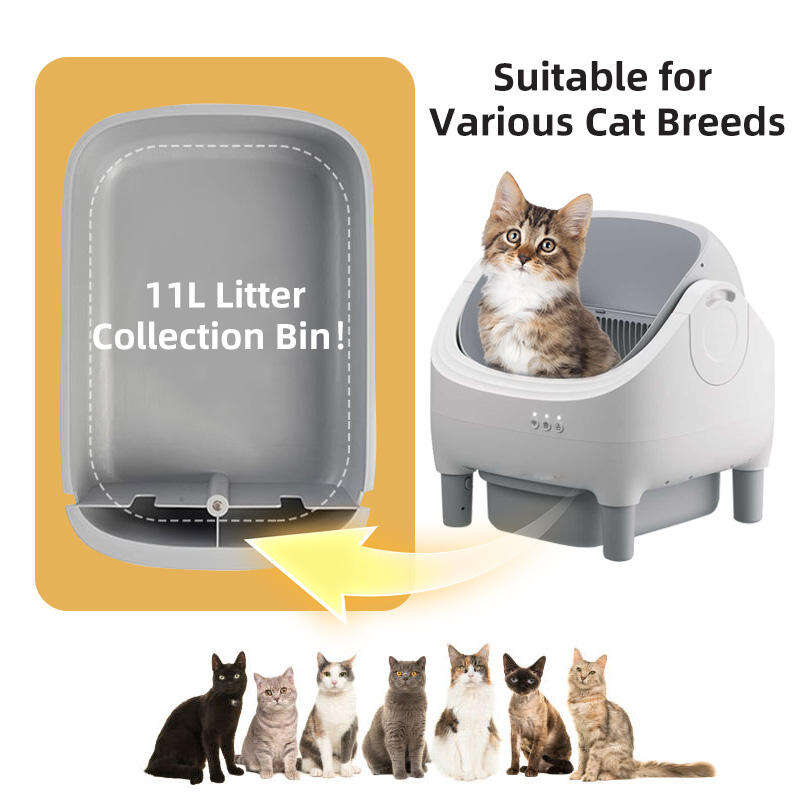 Wholesale New Design Automatic Cat Litter Box APP Control Dual Safety Sensors Self Cleaning Litter Box with Open-Top Design 116-5901 Pet Products Factory, OEM Manufacturer, Supplier, Agent www.gmtpet.com Smart Cat litter box, Cat Litter Box, Cat Litter Box & Accessories, Cat Litter Box And Accessories