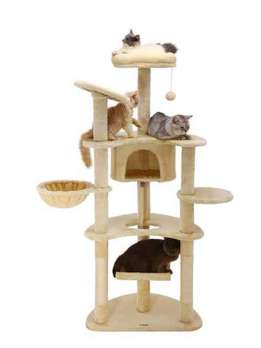 63-Inch Cat Tree Tower With Fur Wood Sisal for Indoor Cats Scratching Post and House for Kittens 105-62027 Pet Products Factory, OEM Manufacturer, Supplier, Agent www.gmtpet.com cat trees scratcher, bog cat tree, cat tower tree dropshipping, mushroom cat tree, purple cat tree, cat trees and scratching post, cat tree house, cat climbing tree house tower, minimalistic cat tree, cheese cat trees, cat tree tower large, cat christmas tree, cat-tree-dropshipping, cat tree for indoor cats, cat tree custom, wall-mounted cat tree, cat tree real wood, tree for big cats, wholesale cat trees, cat tree dropshipping, high quality cat tree, plastic cat tree, tree for cats 140cm, cat tree forest, custom cat tree tall, rope for cat tree, fabric for cat tree, rattan cat tree, luxury cat tree massive, simple cat tree, cat tree modern, cat tree cute, mau cat tree, cat tree wall, cat tree castle, large cat tree tower, high cat tree, 54 cat tree, cherry blossoms cat tree, cat tree 1 pieces, magic forest cat tree, cat tree house free shipping, modern wooden luxury cat tower tree, wooden cat furniture tree cat, basket cat tree, indoor stimulation tree for cats, luxury pet wooden cat tree, cute cat tree, cat tree with leaves, bookcase cat tree, real wood cat tree, pink cat tree, cat wooden tree, small cat trees, palm cat tree, luxury cat tree house, large cat tree house, cactus cat tree, lidl cat trees, cat tree parts, cat tree xl, cat wood tree, tree cat scratcher, flower cat tree, cat tree,