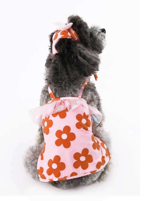 Wholealse Printed swimsuit halter, two-legged swimsuit for cats, pet bikini, teddy dog clothes and hat